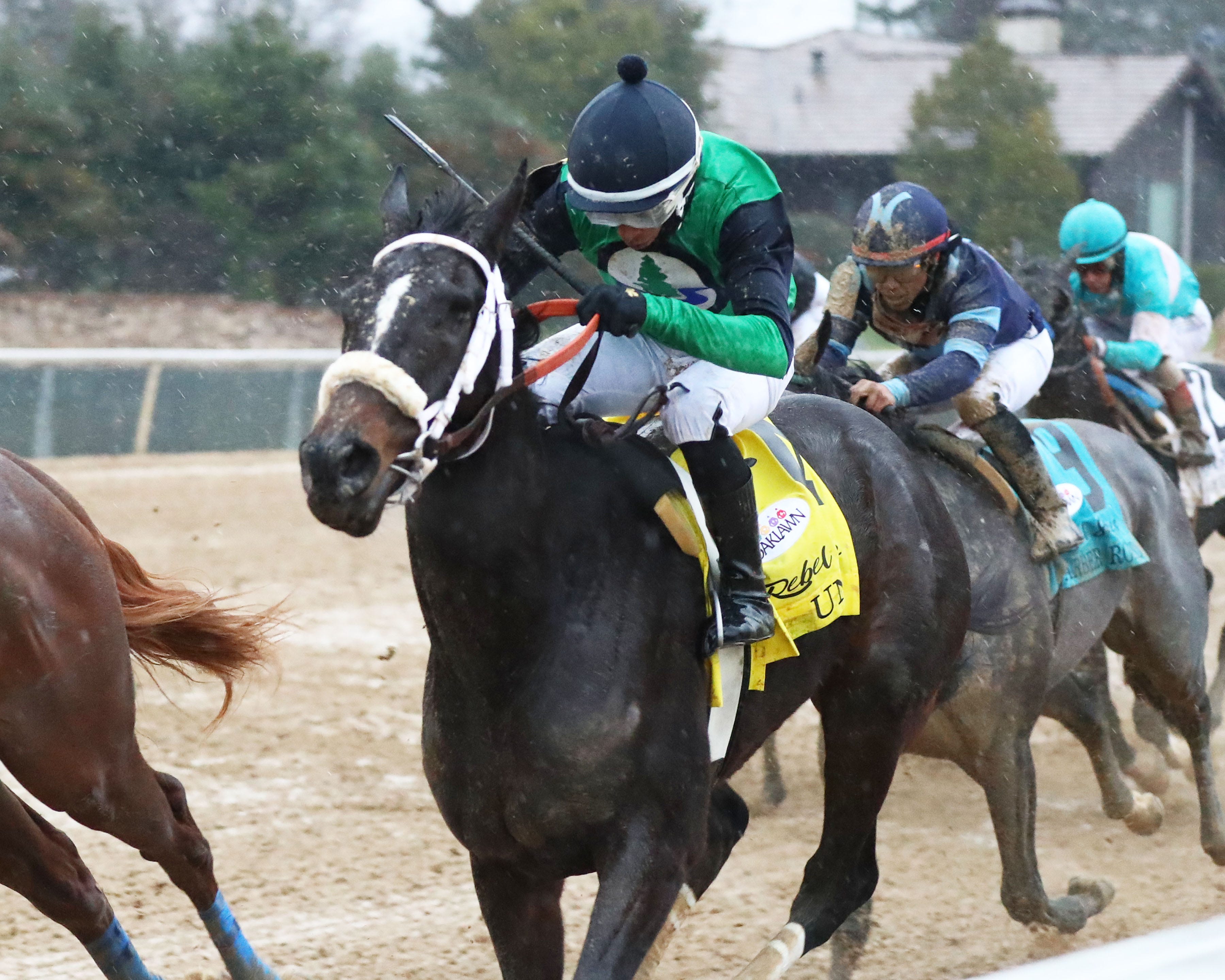 Kentucky Derby pedigree profile Un Ojo